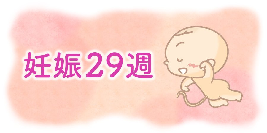 妊娠29週 助産師監修 お腹の赤ちゃんの成長 胎児の体重増加 まなべび