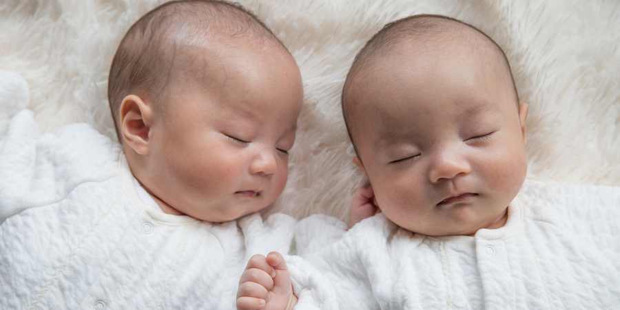 双子の妊娠確率