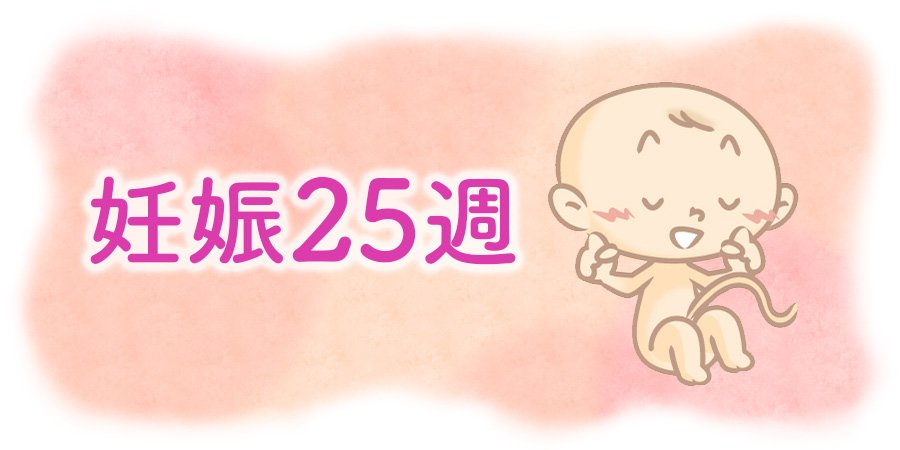 妊娠25週の赤ちゃん
