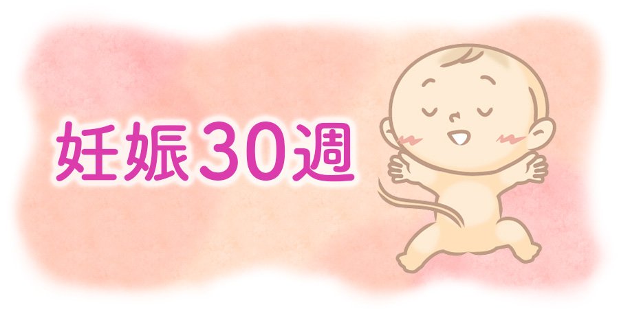 妊娠30週の赤ちゃん